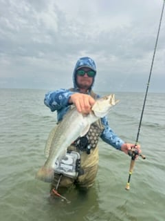 Speckled Trout Fishing in