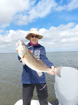 Redfish fishing in Saint Bernard, Louisiana