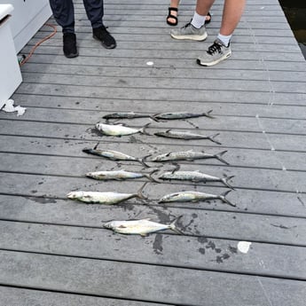 Fishing in Panama City Beach, Florida