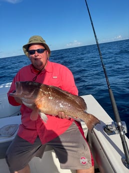 Fishing in Sarasota, Florida