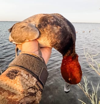Fishing in Panama City, Florida