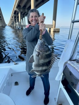 Sheepshead Fishing in Destin, Florida