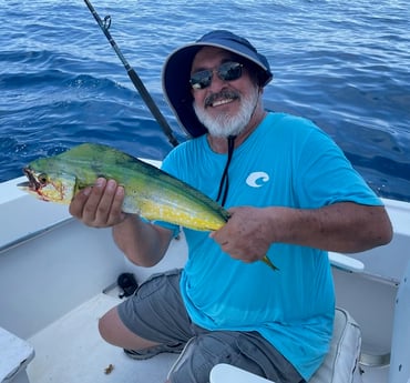 Mahi Mahi Fishing in Pompano Beach, Florida