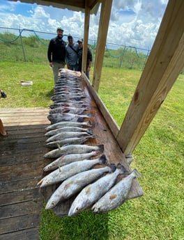 Fishing in League City, Texas