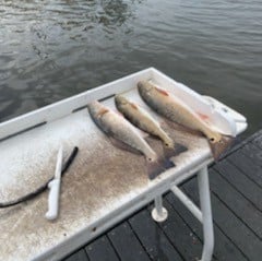 Redfish Fishing in Santa Rosa Beach, Florida