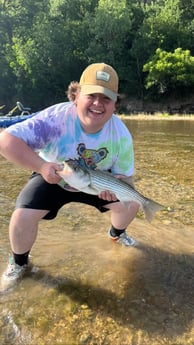 Striped Bass fishing in Graford, Texas