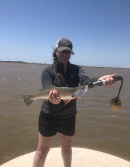 Speckled Trout / Spotted Seatrout fishing in Matagorda, Texas