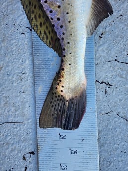 Fishing in Corpus Christi, Texas