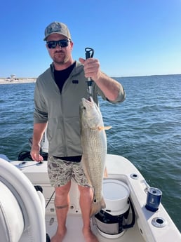 Fishing in Orange Beach, Alabama