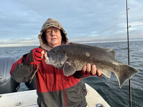 Fishing in Westport, Massachusetts