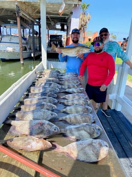 Sheepshead Fishing in Surfside Beach, Texas