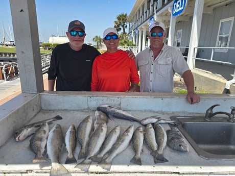 Black Drum, Speckled Trout Fishing in Houston, Texas