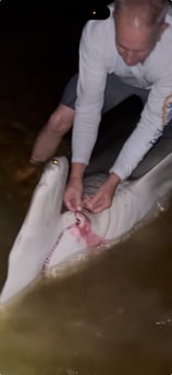 Fishing in Port Orange, Florida