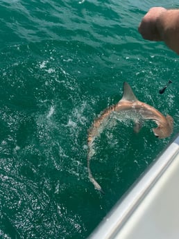 Fishing in Titusville, Florida