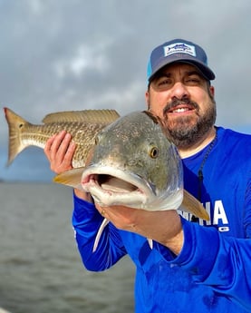 Black Drum fishing in Saint Bernard, Louisiana