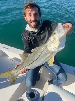Snook fishing in Miami Beach, Florida