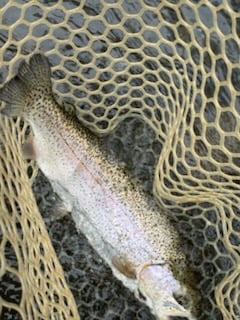 Fishing in Broken Bow, Oklahoma