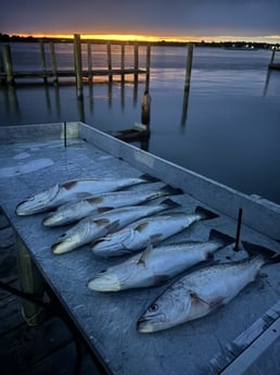 Fishing in Emerald Isle, North Carolina