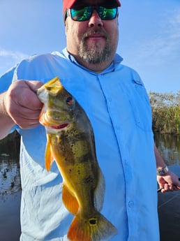 Fishing in Deerfield Beach, Florida