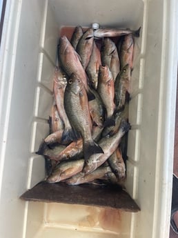 Fishing in Rock Hall, Maryland