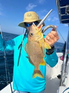 Fishing in Port Orange, Florida