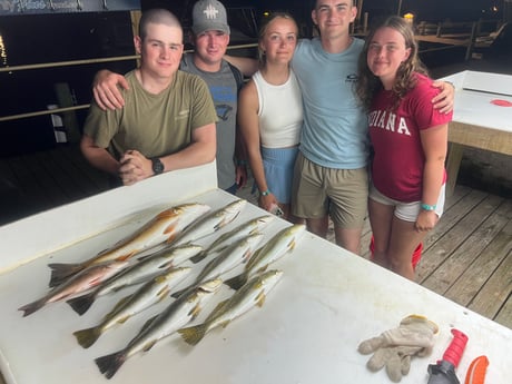 Fishing in Pensacola, Florida