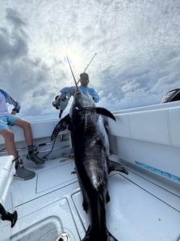 Fishing in St. Petersburg, Florida