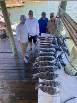 Black Drum Fishing in Rockport, Texas
