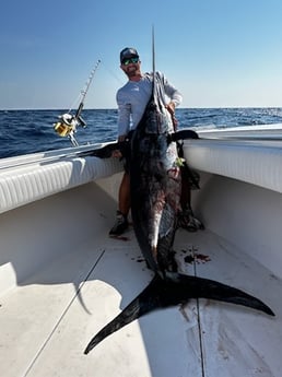 Swordfish Fishing in Destin, Florida