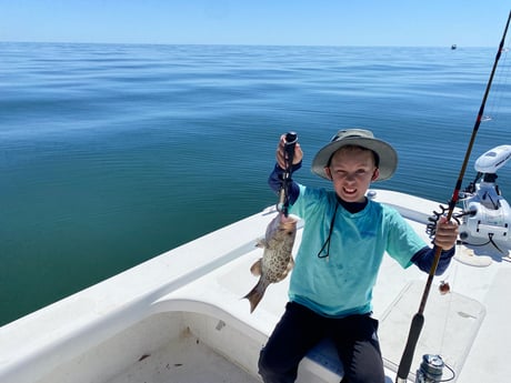 Gag Grouper fishing in Carrabelle, Florida