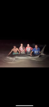 Fishing in Rosemary Beach, Florida