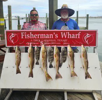 Black Drum, Redfish Fishing in Port Aransas, Texas