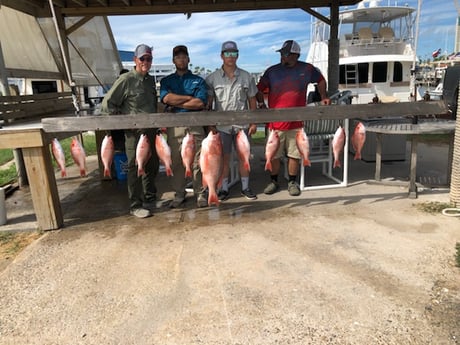 Red Snapper Fishing in South Padre Island, Texas
