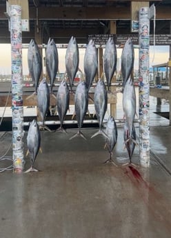Fishing in Buras, Louisiana
