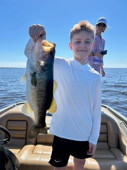 Largemouth Bass Fishing in