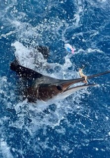 Fishing in Wellington, Florida