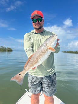 Fishing in Seminole, Florida