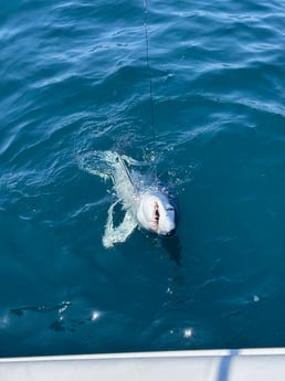 Fishing in Barnegat Light, New Jersey