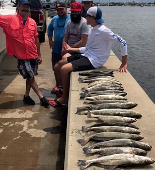 Speckled Trout / Spotted Seatrout fishing in League City, Texas