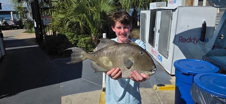 Fishing in Niceville, Florida