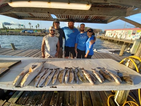 Redfish, Speckled Trout / Spotted Seatrout fishing in Tiki Island, Texas