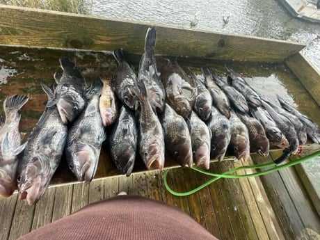 Fishing in Fernandina Beach, Florida