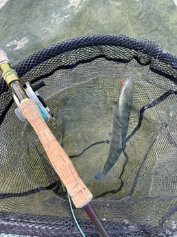 Fishing in Wilmington, North Carolina