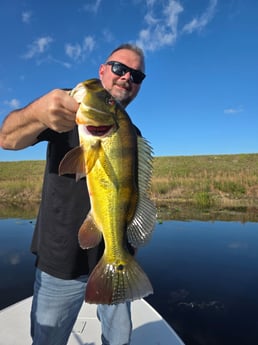 Fishing in Davie, Florida