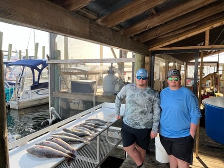 Redfish, Speckled Trout / Spotted Seatrout Fishing in Crystal River, Florida
