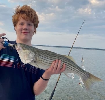 Striped Bass fishing in Pottsboro, Texas