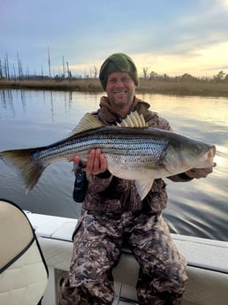 Sheepshead fishing in Wrightsville Beach, North Carolina