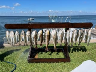 Fishing in Harlingen, Texas
