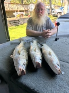 Fishing in Rogers, Arkansas