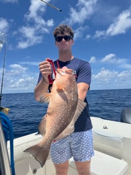 Fishing in Fort Myers, Florida
